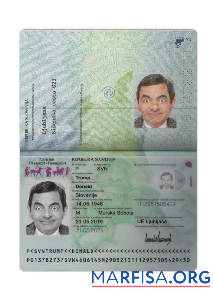 Printable Slovenia passport 2019 present download for verification